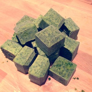 freeze fresh herbs in oil