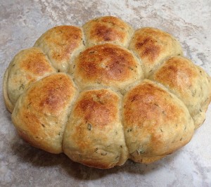 no knead dinner rolls in slow cooker