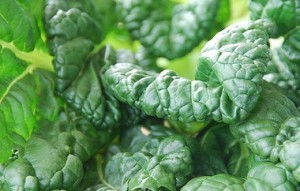 chilled greens ginger sesame