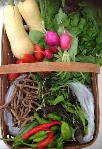 City Commons CSA week 16