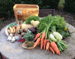 City Commons CSA storage share