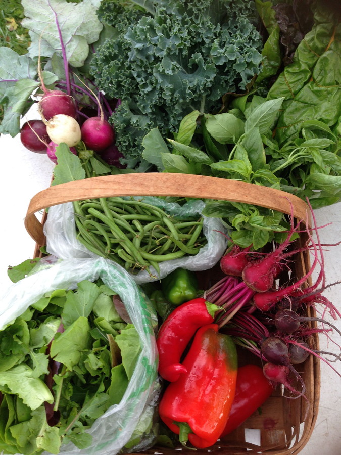 City Commons CSA