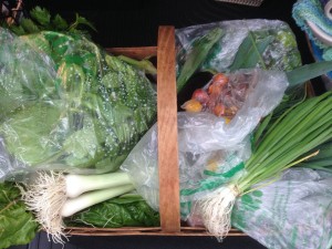 City Commons CSA week 18