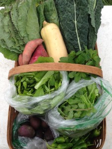 CC CSA week 19 distribution