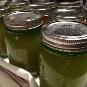 pressure canning Fish Stock