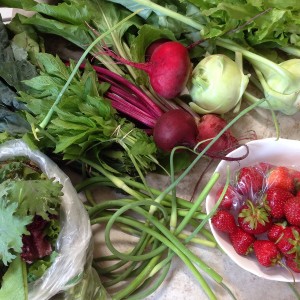 2015 week 2 distribution