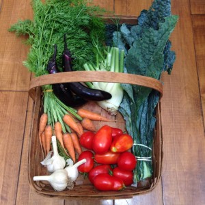 City Commons CSA week 9