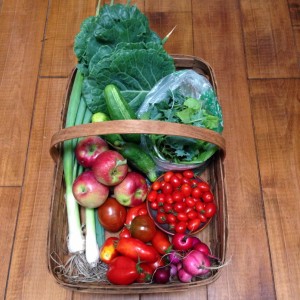 City Commons CSA week 11