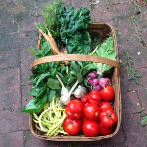 City Commons CSA week 12 2015