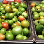 Green Tomatoes