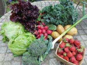 CSA week 2