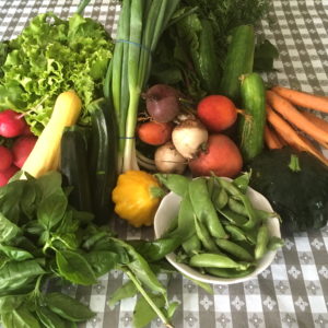 CSA week 5 0630 2018