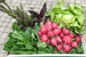 CSA 2018 wk1 0602