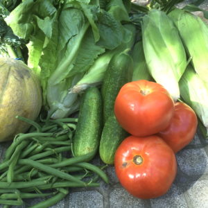 CSA week 9 0728 2018 sq
