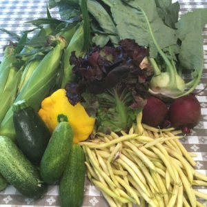 CSA week 8 0721 2018