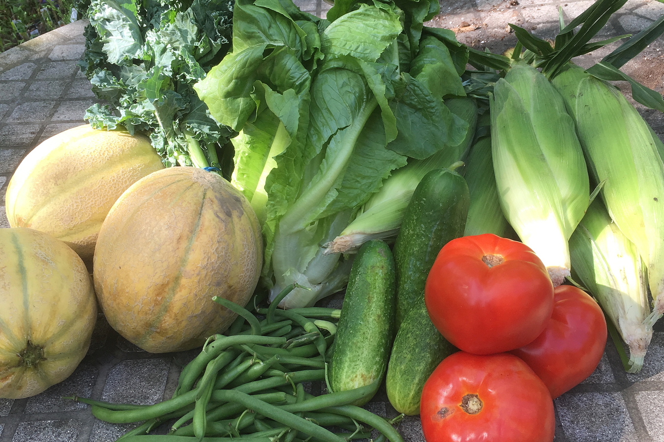 CSA week 9 0728 2018