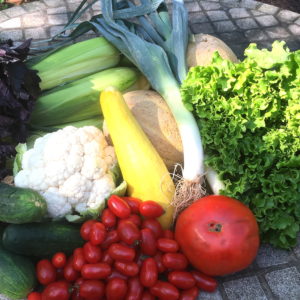 CSA week 11 0811 2018 sq