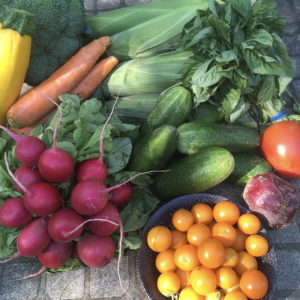 CSA week 10 0804 2018 sq