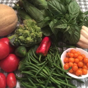 CSA week 13 0825 2018