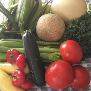 CSA week 14 0901 2018