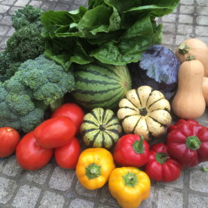 CSA week 15 0908 2018