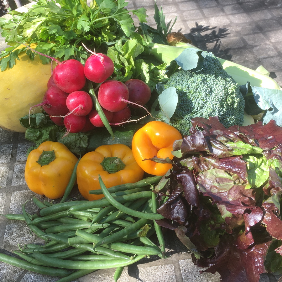 CSA week 16 0915 2018