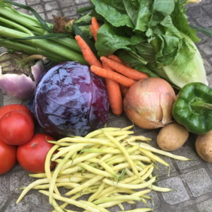 CSA week 17 0922 2018