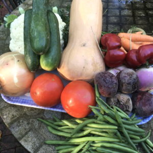 CSA week 18 0929 2018