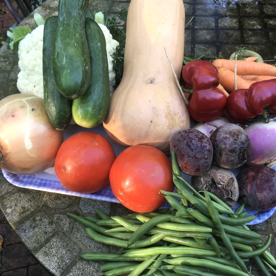 CSA week 18 0929 2018