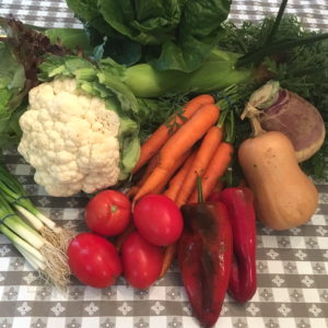 CSA week 19 1006 2018