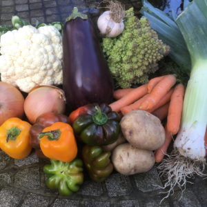 CSA week 21 1020 2018