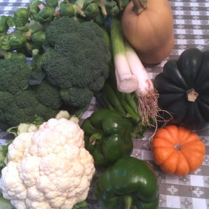 CSA week 22 1027 2018