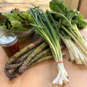 CSA week 1 0509 2020