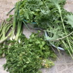 CSA week 4 2020 0529