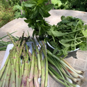 CSA week 5 2020 0605