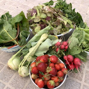 CSA week 9 2020 0701