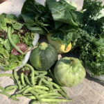 CSA week 10 2020 0717