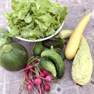 CSA week 11 2020 0722