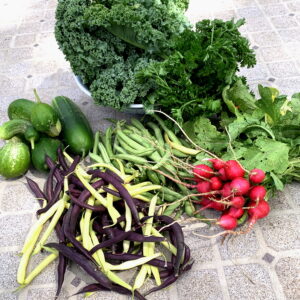 CSA week 12 2020 0731