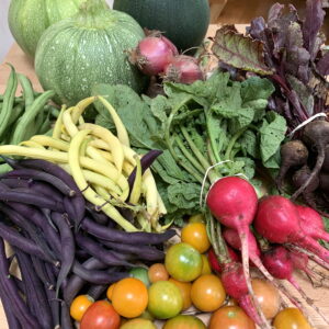 CSA week 14 2020 0814
