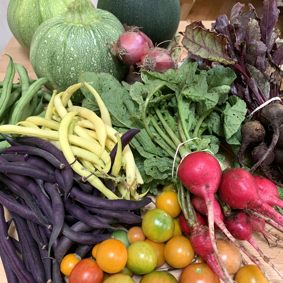 CSA week 14 2020 0814