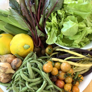 CSA week 15 2020 0821
