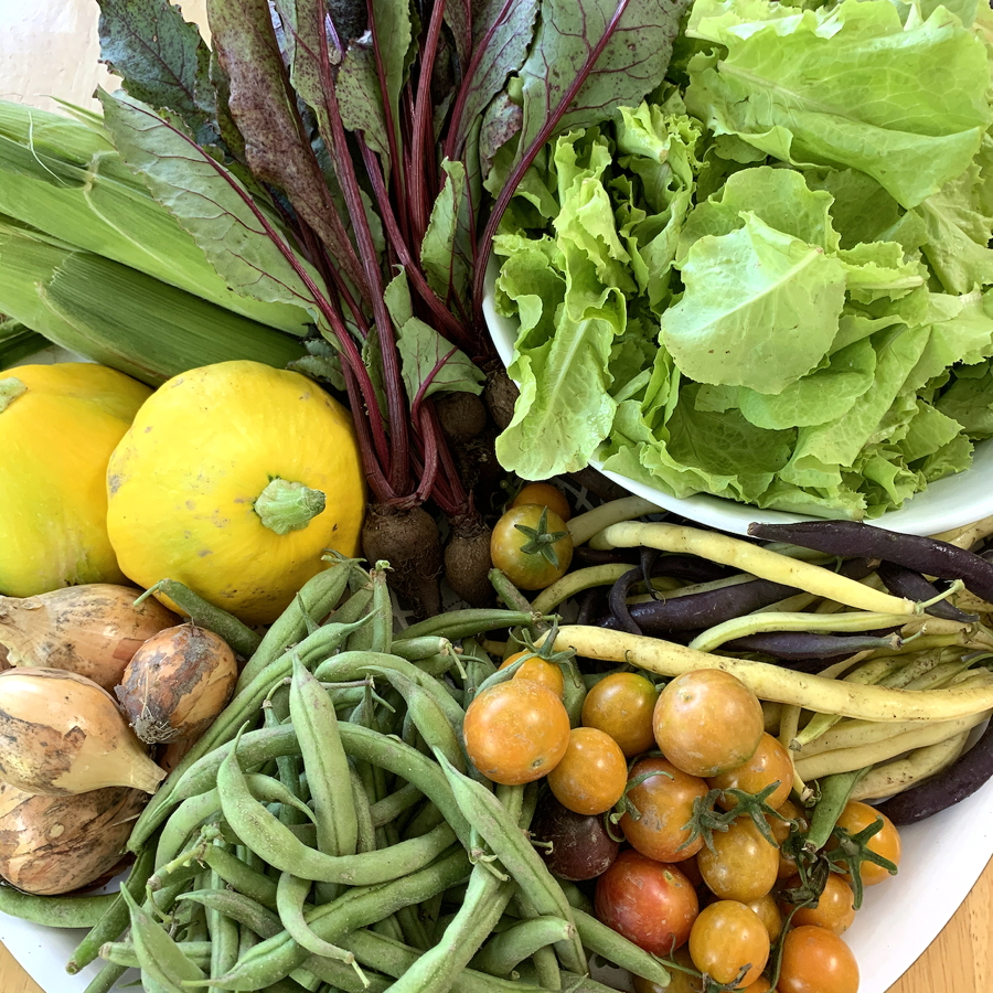 CSA week 15 2020 0821