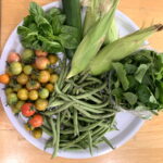 CSA week 16 2020 0828
