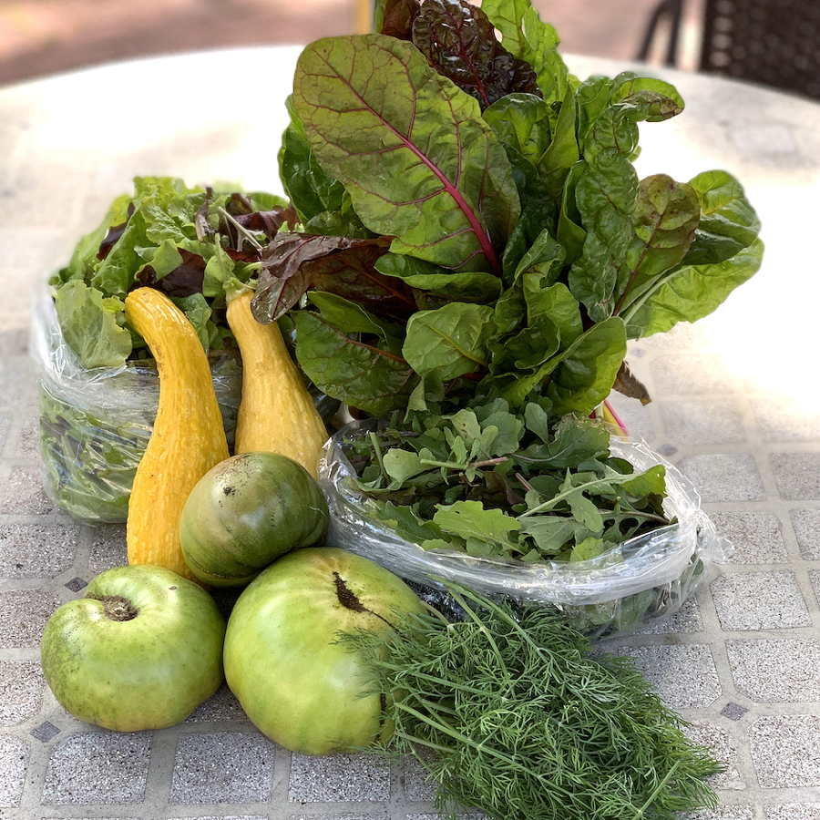 CSA week 19 2020 0918