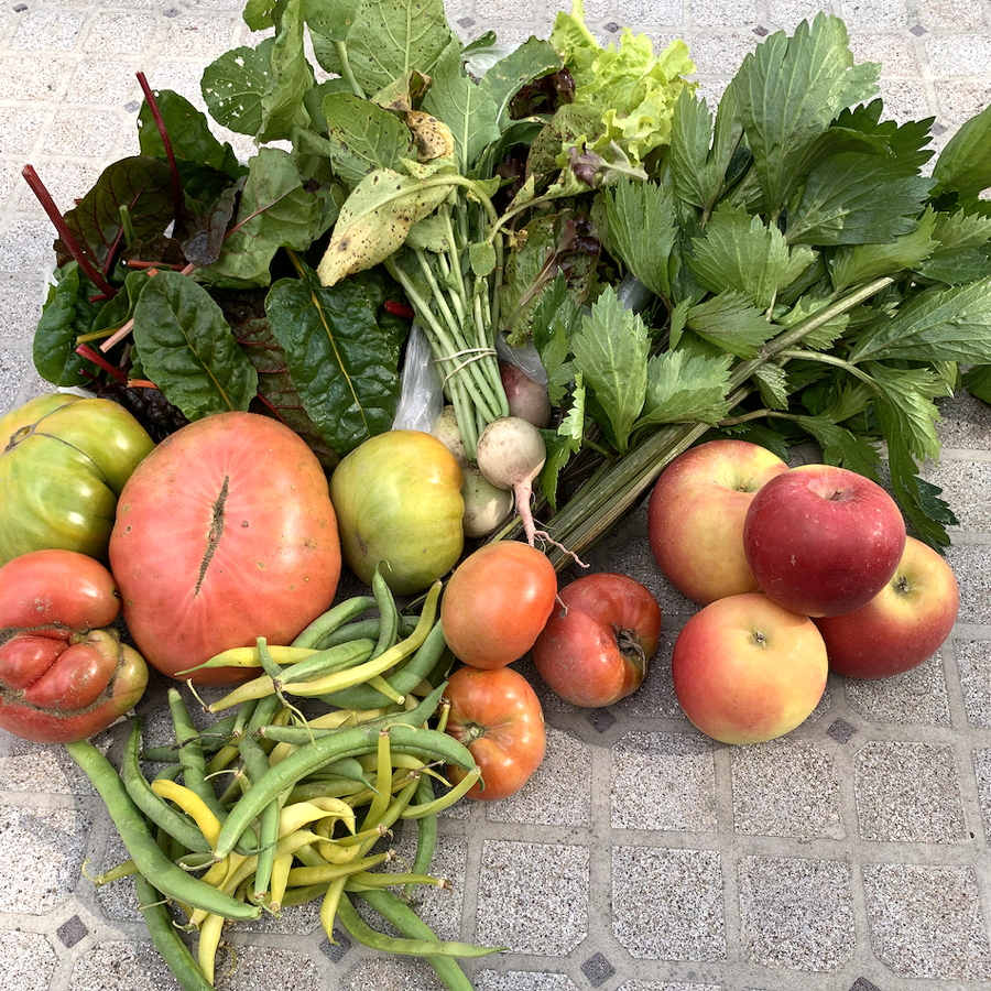CSA week 23 2020 1016