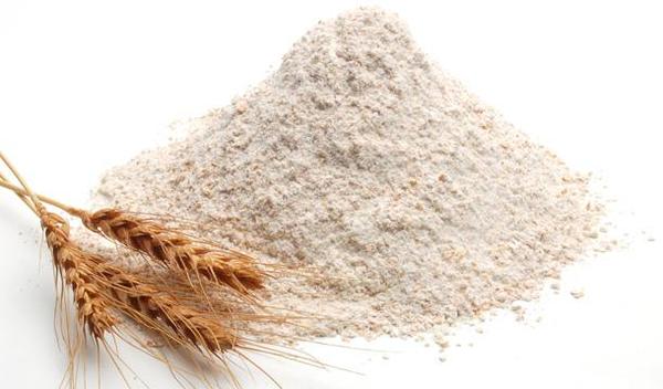 whole wheat flour in a pile with wheat stalks