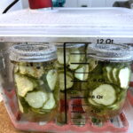 Sous vide pickles 1200