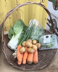 CSA 2023 week 1