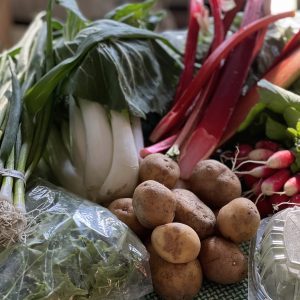 CSA 2023 week 2
